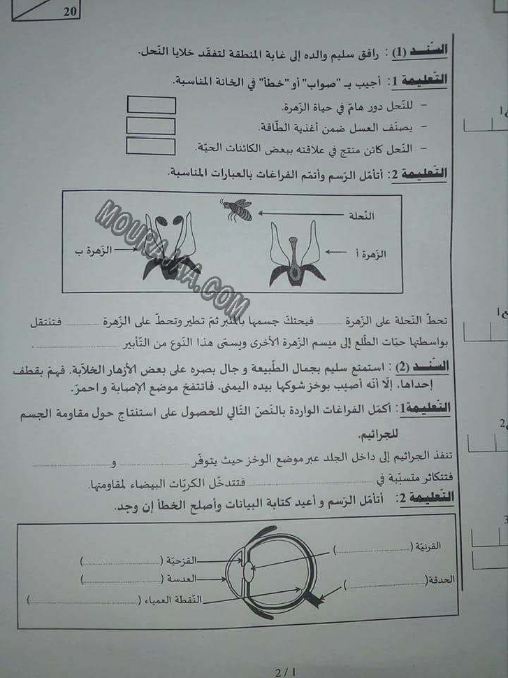 اصلاح مناظرة الايقاظ العلمي 2017